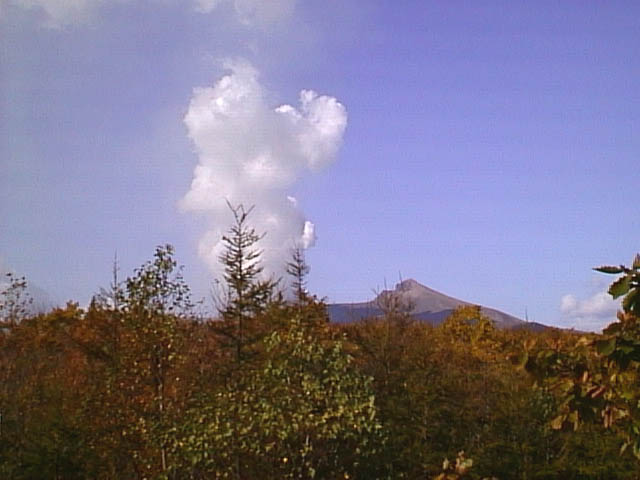 ��P�x���Ό�