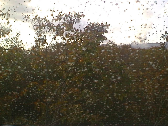 �i�L�j�T�C�h2F�V���~�D-1