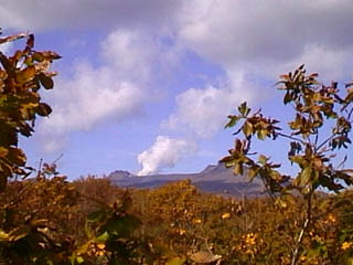 1998/10/27 10:30 ��P�x�@(�L����ЃT�C�h2F���)